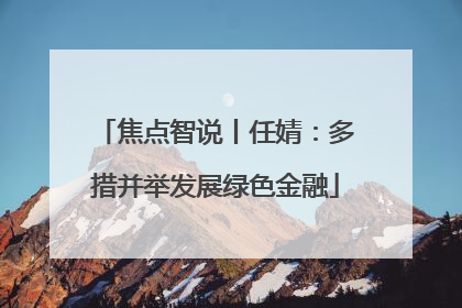 焦点智说丨任婧：多措并举发展绿色金融