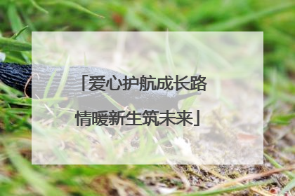 爱心护航成长路 情暖新生筑未来