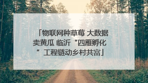 物联网种草莓 大数据卖黄瓜 临沂“四雁孵化”工程链动乡村共富