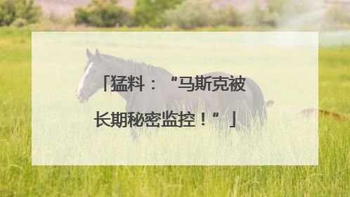 猛料：“马斯克被长期秘密监控！”