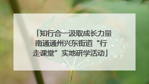 知行合一汲取成长力量 南通通州兴东街道“行走课堂”实地研学活动