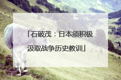 石破茂：日本须积极汲取战争历史教训