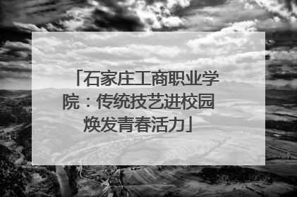 石家庄工商职业学院：传统技艺进校园焕发青春活力