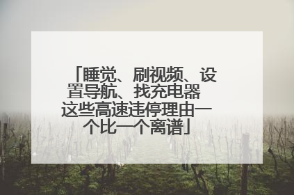 睡觉、刷视频、设置导航、找充电器 这些高速违停理由一个比一个离谱