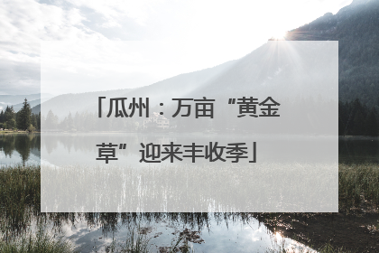 瓜州：万亩“黄金草”迎来丰收季