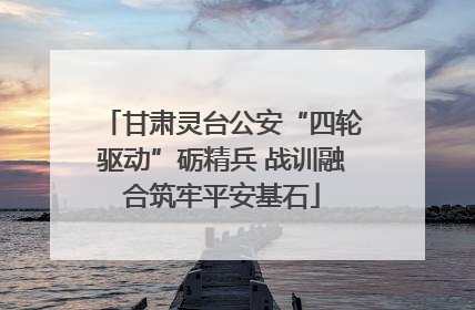 甘肃灵台公安“四轮驱动”砺精兵 战训融合筑牢平安基石