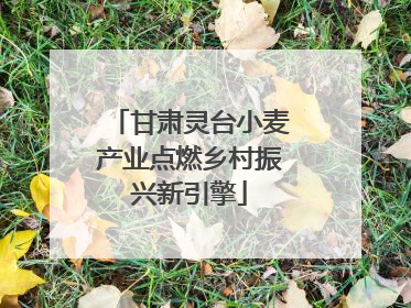 甘肃灵台小麦产业点燃乡村振兴新引擎
