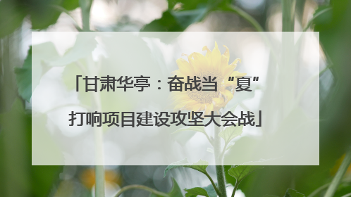 甘肃华亭：奋战当“夏” 打响项目建设攻坚大会战