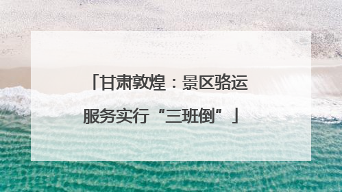 甘肃敦煌：景区骆运服务实行“三班倒”