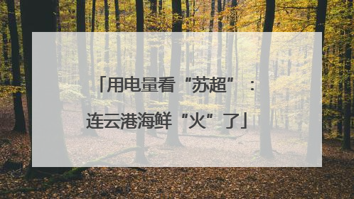 用电量看“苏超”：连云港海鲜“火”了
