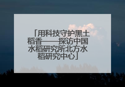 用科技守护黑土稻香——探访中国水稻研究所北方水稻研究中心