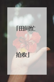 田间忙抢收