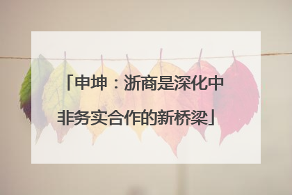 申坤：浙商是深化中非务实合作的新桥梁