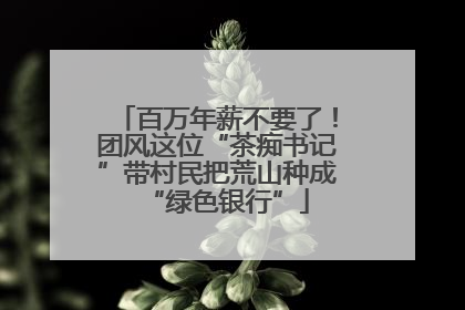 百万年薪不要了！团风这位“茶痴书记”带村民把荒山种成“绿色银行”