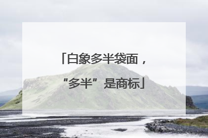 白象多半袋面，“多半”是商标