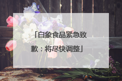 白象食品紧急致歉：将尽快调整