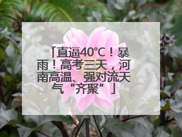 直逼40℃！暴雨！高考三天，河南高温、强对流天气“齐聚”