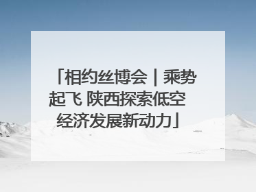 相约丝博会｜乘势起飞 陕西探索低空经济发展新动力