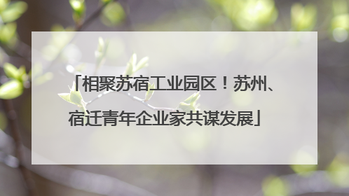 相聚苏宿工业园区！苏州、宿迁青年企业家共谋发展