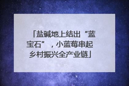 盐碱地上结出“蓝宝石”，小蓝莓串起乡村振兴全产业链