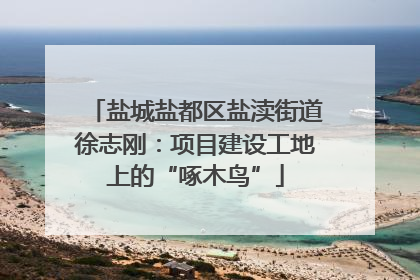 盐城盐都区盐渎街道徐志刚：项目建设工地上的“啄木鸟”