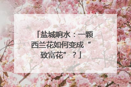 盐城响水：一颗西兰花如何变成“致富花”？