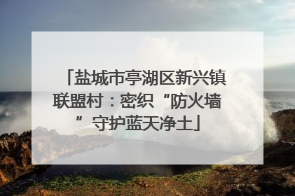 盐城市亭湖区新兴镇联盟村：密织“防火墙”守护蓝天净土