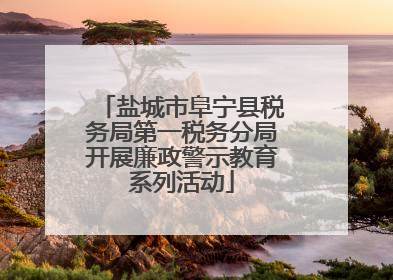 盐城市阜宁县税务局第一税务分局开展廉政警示教育系列活动