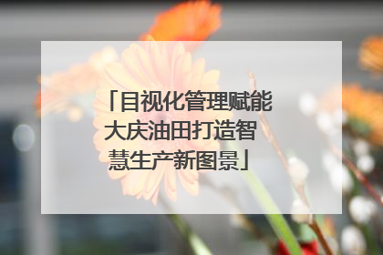 目视化管理赋能 大庆油田打造智慧生产新图景