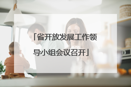省开放发展工作领导小组会议召开