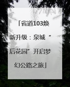 省道103焕新升级：泉城“后花园”开启梦幻公路之旅