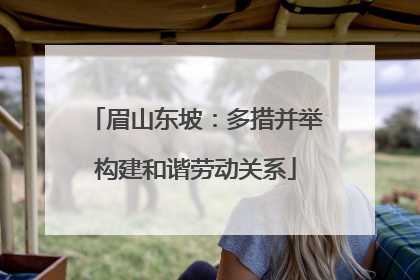 眉山东坡：多措并举构建和谐劳动关系