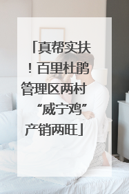 真帮实扶！百里杜鹃管理区两村“威宁鸡”产销两旺