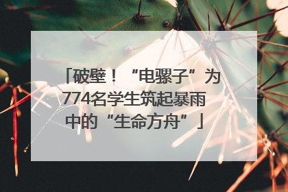 破壁！“电骡子”为774名学生筑起暴雨中的“生命方舟”