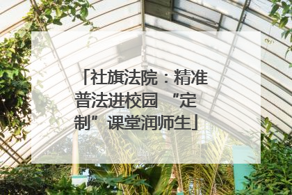 社旗法院：精准普法进校园 “定制”课堂润师生