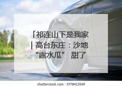 祁连山下是我家｜高台东庄：沙地“露水瓜” 甜了舌尖 富了农家