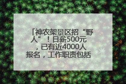 神农架景区招“野人”！日薪500元，已有近4000人报名，工作职责包括“接受游客投喂”