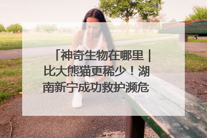 神奇生物在哪里｜比大熊猫更稀少！湖南新宁成功救护濒危鸟类海南鳽