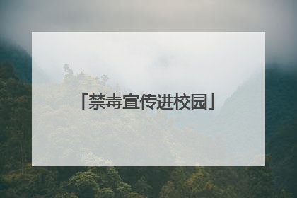 禁毒宣传进校园