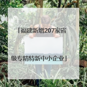 福建新增207家省级专精特新中小企业
