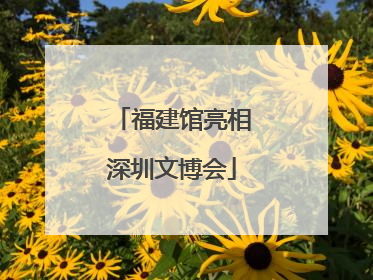 福建馆亮相深圳文博会