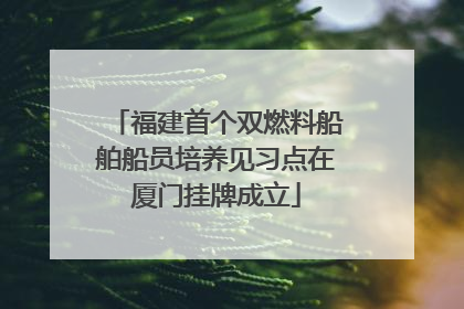 福建首个双燃料船舶船员培养见习点在厦门挂牌成立