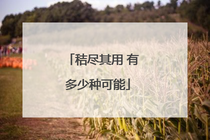 秸尽其用 有多少种可能