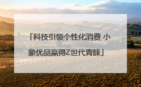 科技引领个性化消费 小象优品赢得Z世代青睐