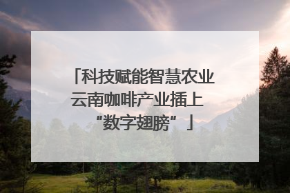科技赋能智慧农业 云南咖啡产业插上“数字翅膀”