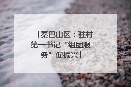 秦巴山区：驻村第一书记“组团服务”促振兴