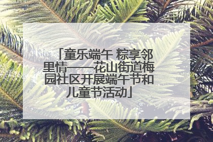 童乐端午 粽享邻里情——花山街道梅园社区开展端午节和儿童节活动
