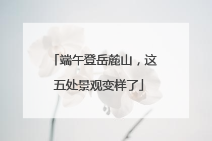 端午登岳麓山，这五处景观变样了