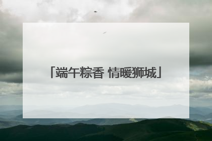 端午粽香 情暖狮城