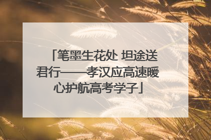 笔墨生花处 坦途送君行——孝汉应高速暖心护航高考学子